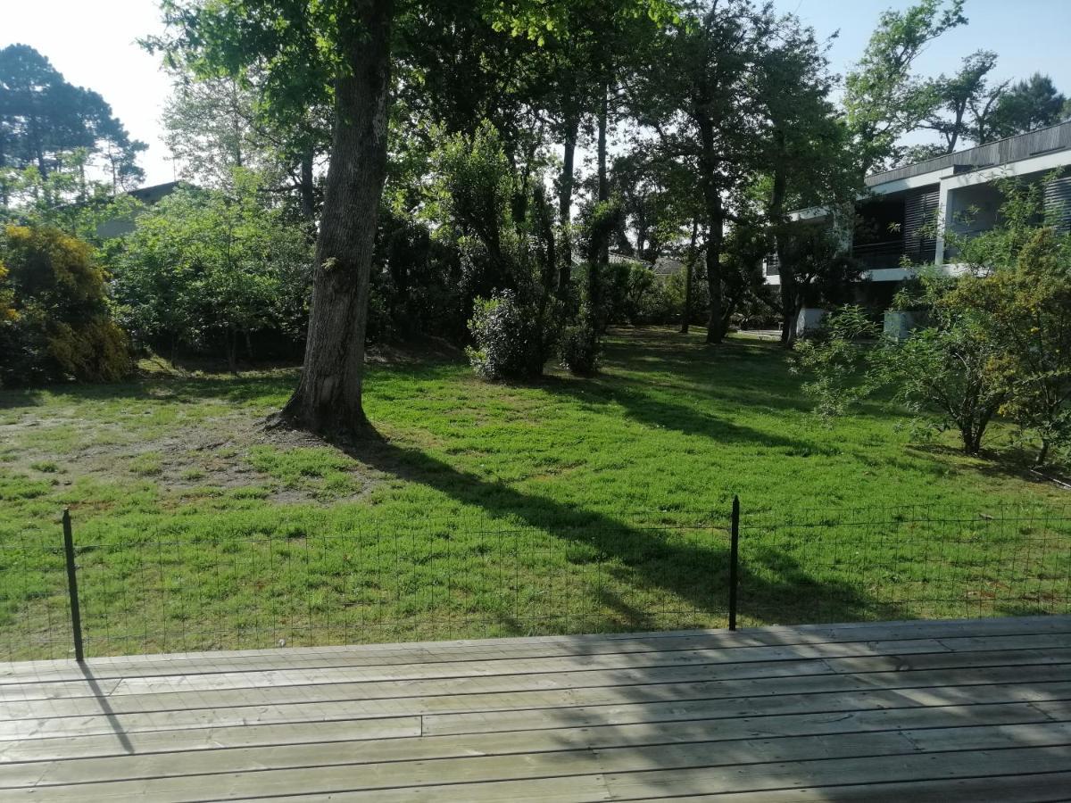 Superbe T3, Havre De Paix, Entre Plage Et Village カップブルトン エクステリア 写真